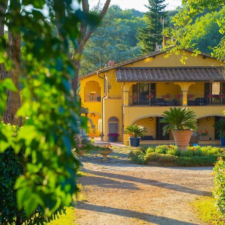 Villa Poggio Di Gaville Meleto Bagian luar foto